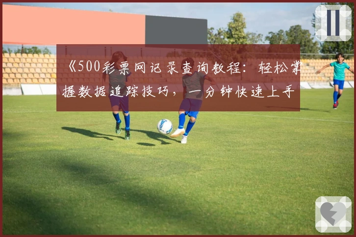 《500彩票网记录查询教程：轻松掌握数据追踪技巧，一分钟快速上手》