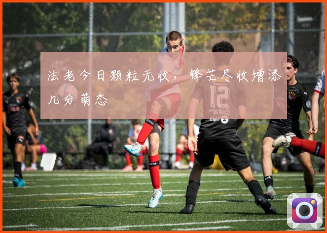 法老今日颗粒无收，锋芒尽收增添几分萌态