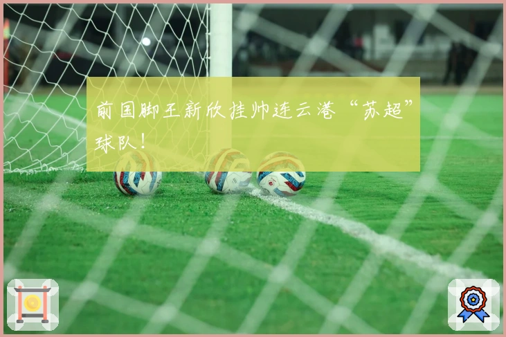 前国脚王新欣挂帅连云港“苏超”球队！